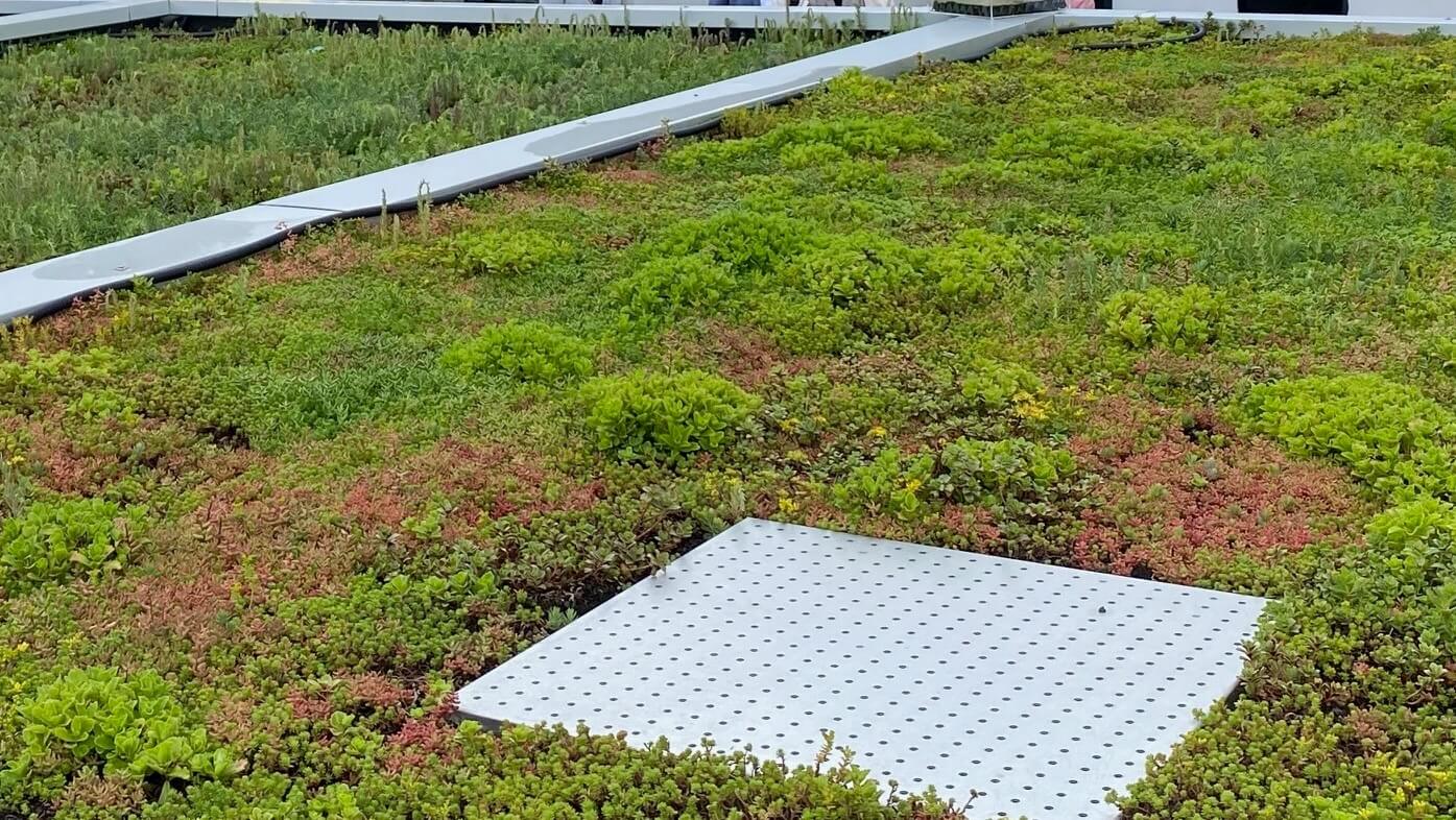 zeigt eine begrünte dachstruktur