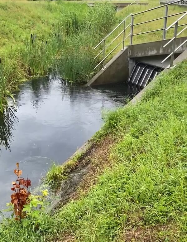 kleine retitationsfläche