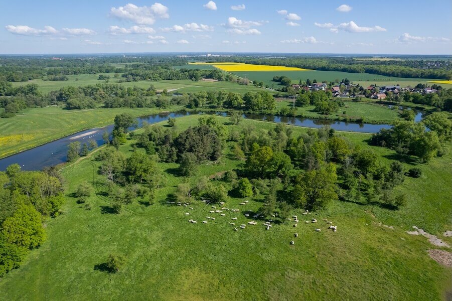 ein fluss windet sich durch eine grüne landschaft